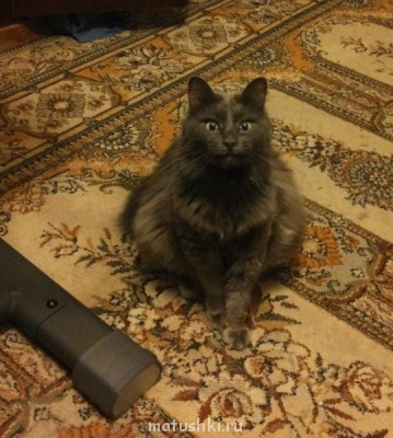 И делать смешные рожицы))