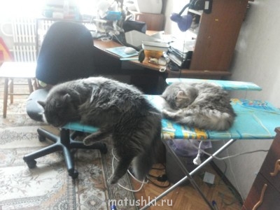 Их величества почивают))