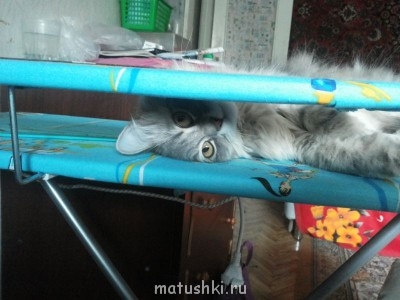 Мама купила новую "игрушку"))