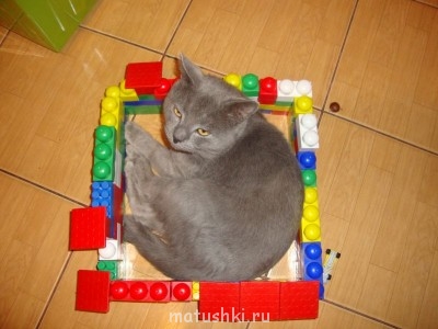 Любимая кошатинка  - DSC02197.JPG