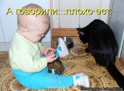 Любимая кошатинка  - ест.jpg