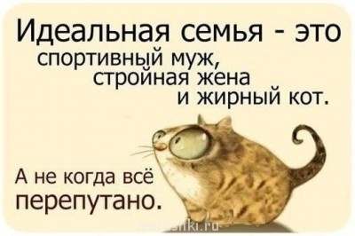 Любимая кошатинка  - vO4roIATWkY.jpg