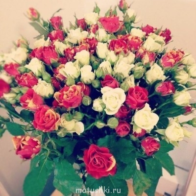 Рождественская акция - 2 - akHQF70Y-ew.jpg