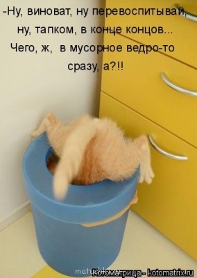 Любимая кошатинка  - image.jpg