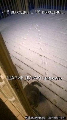 Любимая кошатинка  - image.jpg