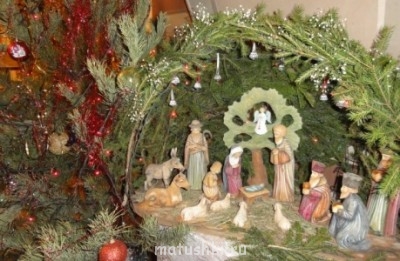 Тема для КОРОТКИХ вопросов-5 - phoca_thumb_l_dsc02115.jpg