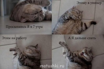 Разговариваем картинками - podborka_79.jpg