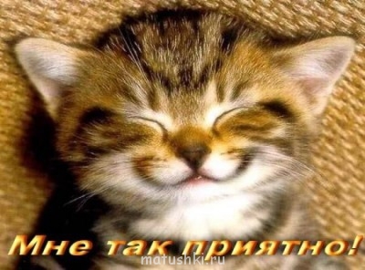 Разговариваем картинками - image.jpg