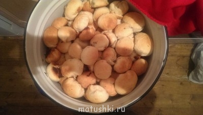 Стол на Рождество: кто что готовит? - IMAG0780.jpg