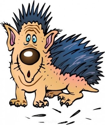 Разговариваем картинками - image.jpg