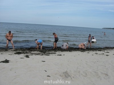 Новость дня. - IMG_3303.JPG