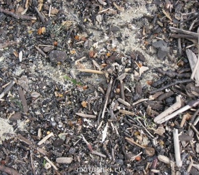 Новость дня. - IMG_3301.JPG