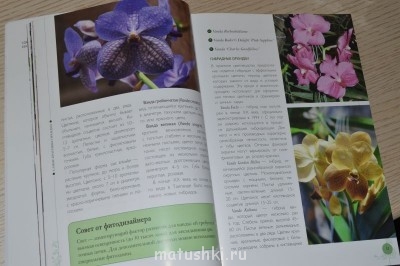 Рождественская акция - 2 - DSC_4428.JPG