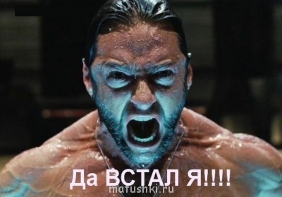 Разговариваем картинками - image.jpg