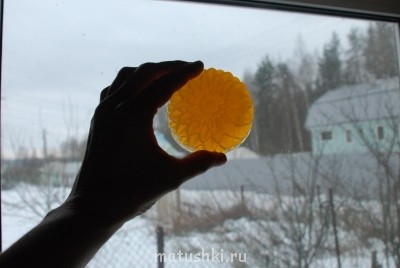 Солнышко оливковое зимой :)