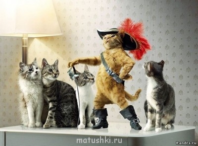 Любимая кошатинка  - всапогах.jpg