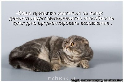 Любимая кошатинка  - image.jpg