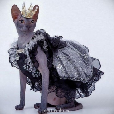 ПРО аватарки обсуждение -2 - дама.jpg