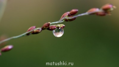 Покажите свой рабочий стол :  - gQ-n3_WYwmI.jpg