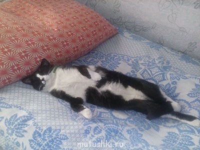 Любимая кошатинка  - CAM01226.jpg