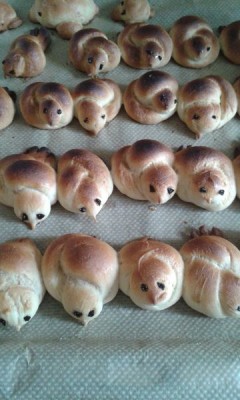 А тут отряд птичий выстроился в ряд! на последнем ряду 3 птички сына, правда больше похожи на тюленей))