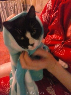 Любимая кошатинка  - CAM01236.jpg