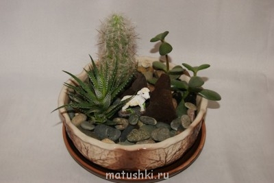 Наши цветы 2 - HBFGmWSlgp4.jpg