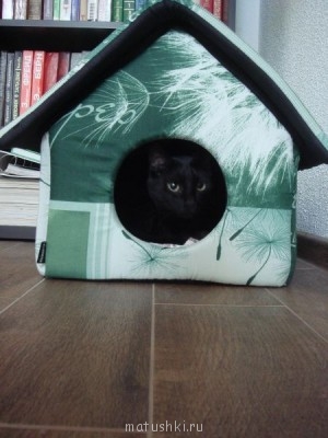 Любимая кошатинка  - Копия DSC05787.JPG