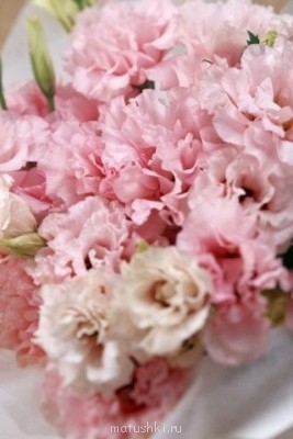 Пасхальная акция - 2 - Vaz7M3o_da0.jpg