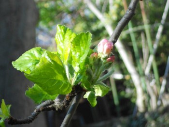 А что у нас с погодой? - 5 - DSCN5548.JPG