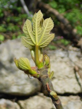 А что у нас с погодой? - 5 - DSCN5560.JPG