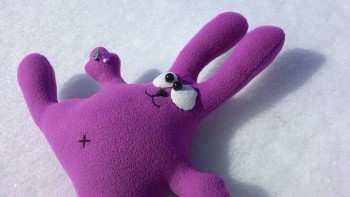 Мягкие игрушки своими руками - P_20150313_123137.jpg