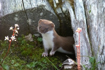 ПРО аватарки обсуждение -2 - image.jpg