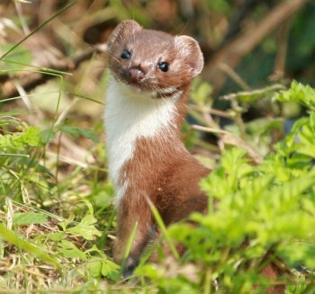 ПРО аватарки обсуждение -2 - image.jpg