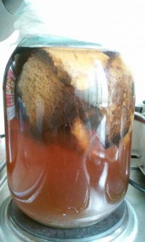 квас - 20150528_100924~2.jpg