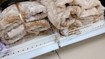 Любимая кошатинка  - найди.jpg