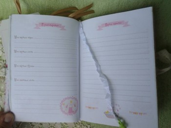 Искусство скрапбукинга :  - SAM_2777.JPG