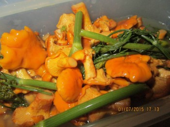 ГРИБЫ: собираем, варим-жарим, консервируем, сушим, солим и замораживаем - 005.JPG