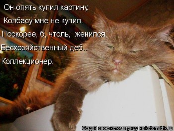 Любимая кошатинка  - a6RCDcHSx1I.jpg