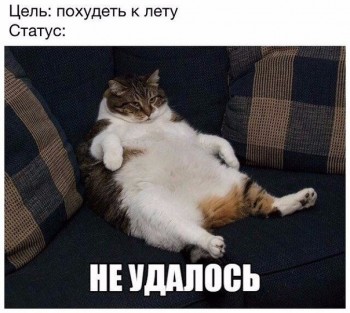 Любимая кошатинка  - powdcpxTDIY.jpg