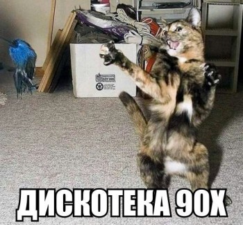 Любимая кошатинка  - DtX7KCBlzd0.jpg