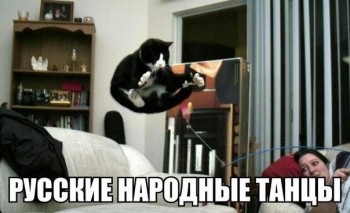 Любимая кошатинка  - ow0LBJh3sCw.jpg