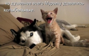 Любимая кошатинка  - jG4AQMkOoxQ.jpg