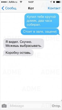 Любимая кошатинка  - CWTStoE5E60.jpg