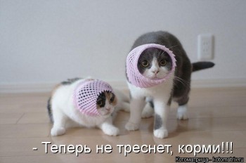 Любимая кошатинка  - zKQFihFcqhY.jpg