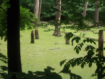 Вот в такие дебри мы зашли)))