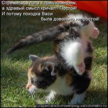 Любимая кошатинка  - DlbF3PydSjY.jpg