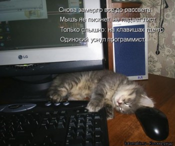 Любимая кошатинка  - oHDMlolTIX4.jpg