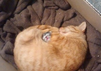 Счастье рядом!