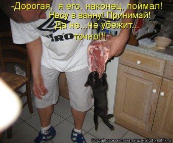 Любимая кошатинка  - kotomatritsa_AW.jpg